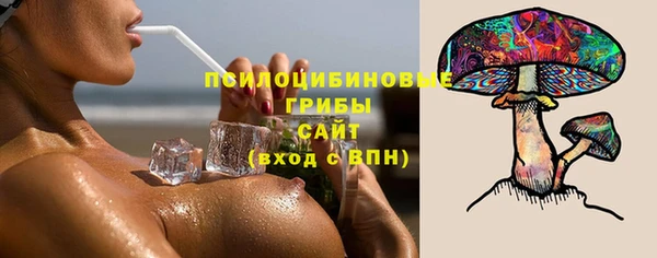 ГАЛЛЮЦИНОГЕННЫЕ ГРИБЫ Верхнеуральск