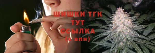 МДПВ Верхний Тагил