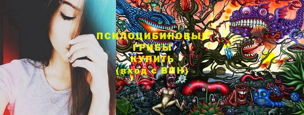 ГАЛЛЮЦИНОГЕННЫЕ ГРИБЫ Верхнеуральск