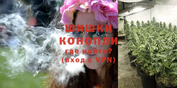 МДПВ Верхний Тагил