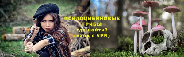 ГАЛЛЮЦИНОГЕННЫЕ ГРИБЫ Верхнеуральск